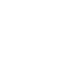 Solid-Sport-Logo