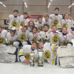 2009-born Swedish youth hockey team Flemingsbergs IK celebrates winning their district championship.