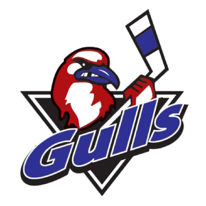Long-Island-Gulls-Logo