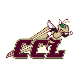 Dynamiques-CCL-Logo